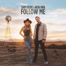 Обложка Sam Feldt – What About The Love