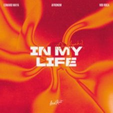 Обложка Edward Maya & AFRONOM & vidi roca – In My Life (Oh Ayah)