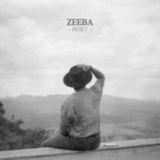 Обложка Zeeba – Never Let Me Go (Acoustic)