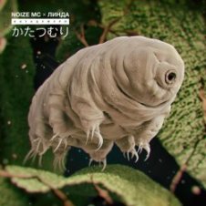 Обложка Noize MC – Катацумури