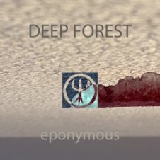 Обложка Deep Forest – Night Bird