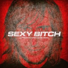 Обложка David Guetta, Akon – Sexy Bitch (DJ Freedom Radio Edit)