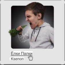 Обложка Ksenon – Ёлки-палки