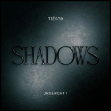 Обложка Tiesto & Undercatt – Shadows