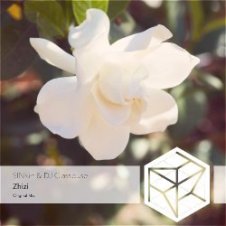 Обложка DJ Classbuse & SINKin – Zhizi (Extended Mix)