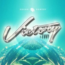 Обложка Sound Remedy – Summer Was Fun