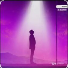 Обложка A-Sultan – Seen