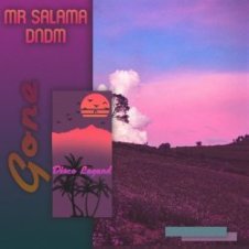 Обложка Mr Salama & DNDM – Gone