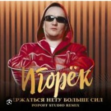 Обложка Игорек – Держаться нету больше сил