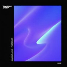 Обложка MalYar & Y_K – Picaflo