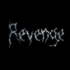 Обложка The Revenge – Every Night