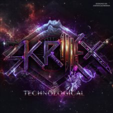 Обложка Skrillex – Chicken Soup