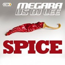 Обложка Megara vs. DJ Lee – Spice (Single Edit)