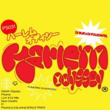 Обложка DJ POLKOMTEL, DJ BLIK – Harlem Odyssey