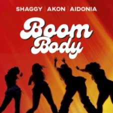 Обложка Shaggy & Akon & Aidonia – Boom Body