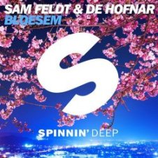 Обложка Sam Feldt & De Hofnar – Bloesem