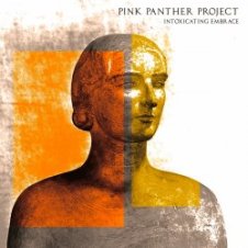 Обложка Pink Panther Project – Distorted Dj