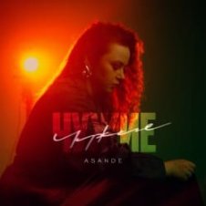 Обложка ASANDE – Чужие