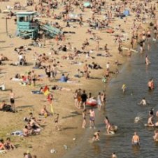 Обложка Нікіта Кісельов – Чайка