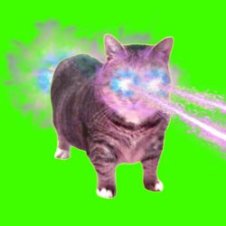 Обложка XertXetin – OIIA OIIA COSMIC CAT (Slowed)