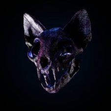 Обложка Darci – Wild Horse