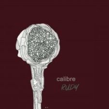 Обложка Calibre – Treason