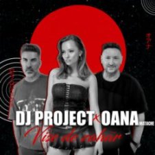 Обложка DJ Project & Oana Matache – Vise de Zahar
