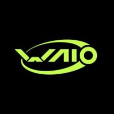 Обложка Waio and Freakulizer – Bass Speaking