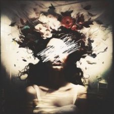 Обложка MsE – Crazy Night