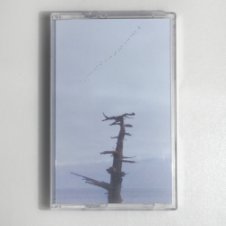 Обложка Buttechno – Japan coasts