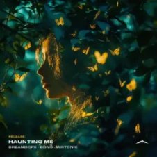 Обложка bonö, mirtonik, Dreamdope – Tell Me