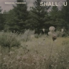Обложка Shallou – Forget