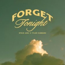 Обложка Steve Aoki – Forget Tonight (feat. Tyler Hubbard)