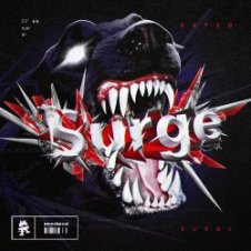 Обложка Kayzo – Surge