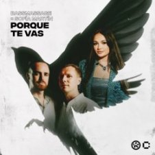 Обложка BASSMASSAGE & Sofía Martín – Porque Te Vas