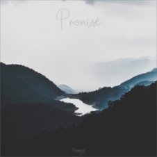 Обложка Nomyn – Promise