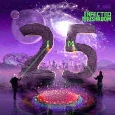 Обложка Infected Mushroom – Groove Radio International