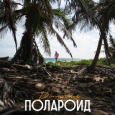 Обложка Dima Sneg – Полароид (Remix)