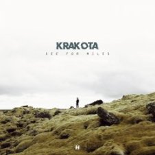 Обложка Krakota – Callback