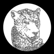 Обложка Tensnake – Need Your Lovin