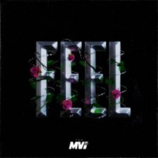 Обложка The MVI – FEEL