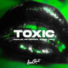 Обложка Gaullin & PET3RPUNX & Robbe & TRFN – Toxic