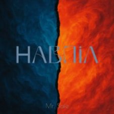 Обложка Mr. Safe – Навпіл
