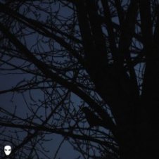 Обложка Pharmacist – Dreamin