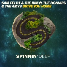 Обложка Sam Feldt & The Him ft. The Donnies The Amys – Drive You Home (Original Mix)