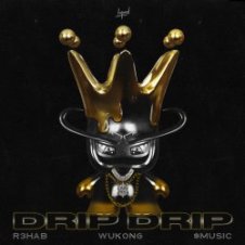 Обложка R3HAB & Wukong & $MUSIC – Drip Drip