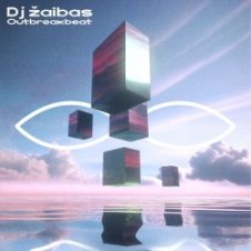 Обложка Dj Žaibas – Metacortex