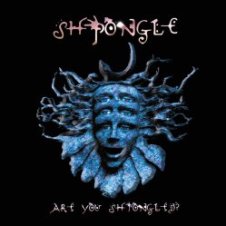 Обложка Shpongle – Divine Moments Of Truth