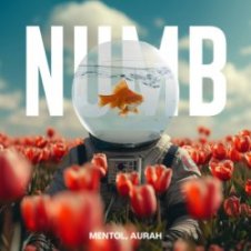 Обложка Linkin Park – Numb (Mentol Remix) Aurah Cover