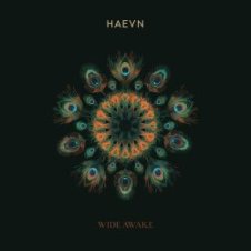 Обложка HAEVN & Lily Meola – Till the Morning